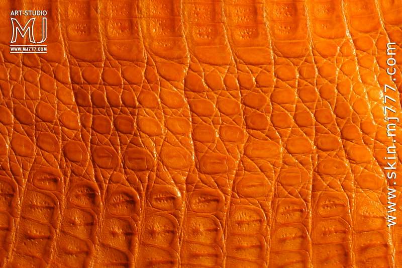 Оранжевый крокодил фото
